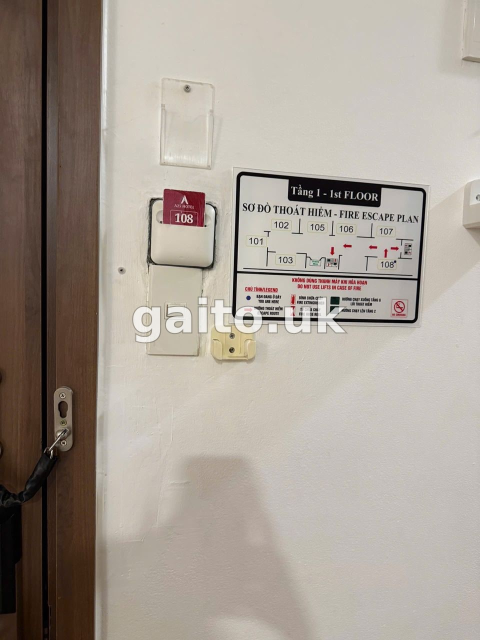 ảnh report