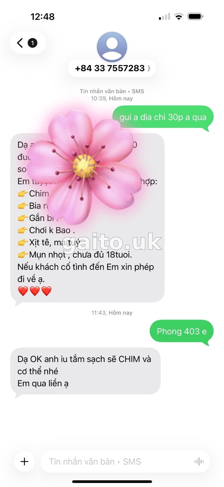 ảnh report