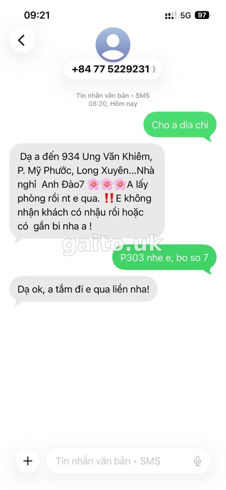 ảnh report