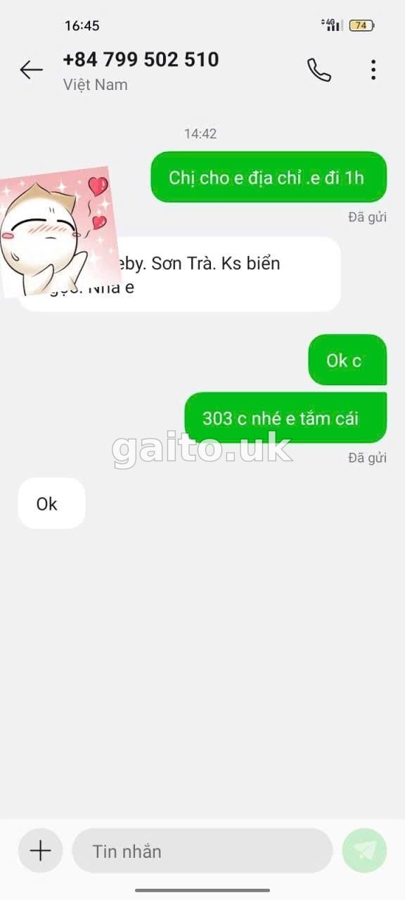 ảnh report