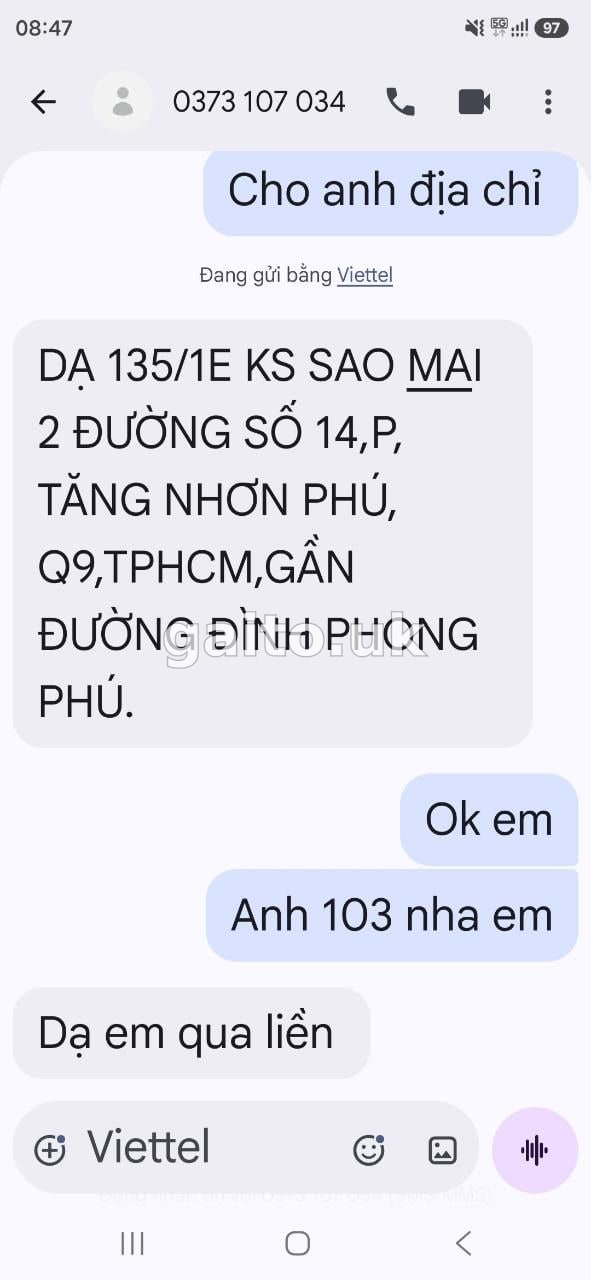 ảnh report