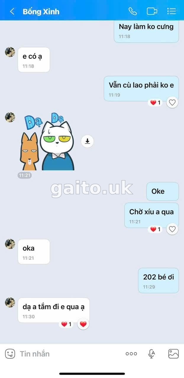 ảnh report