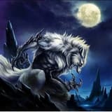 BLUE _ WOLF