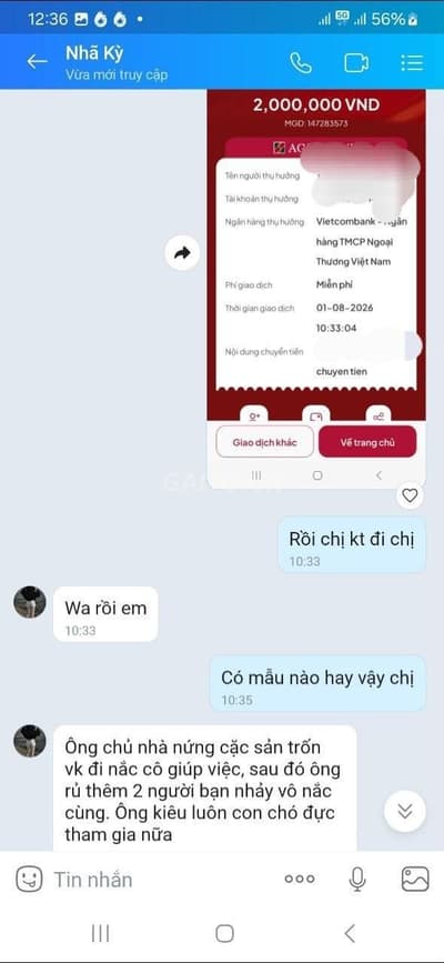 ảnh report