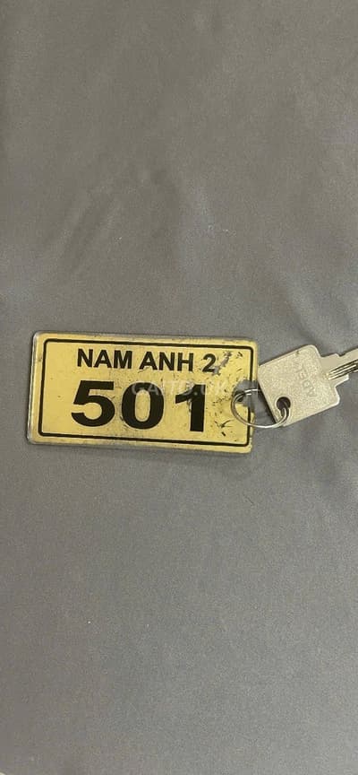 ảnh report