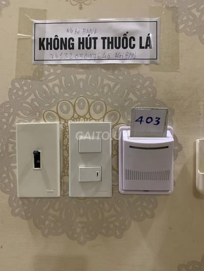 ảnh report
