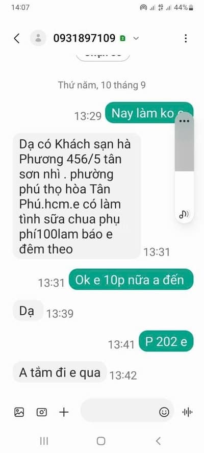 ảnh report