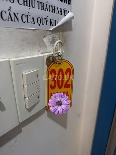 ảnh report