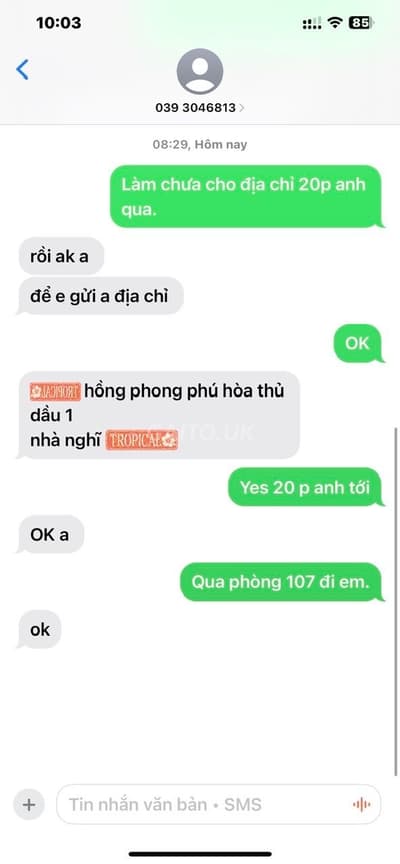 ảnh report