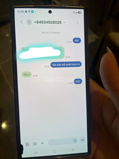 ảnh report