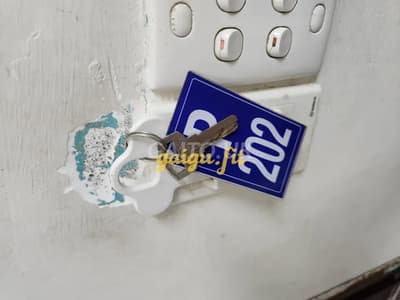 ảnh report