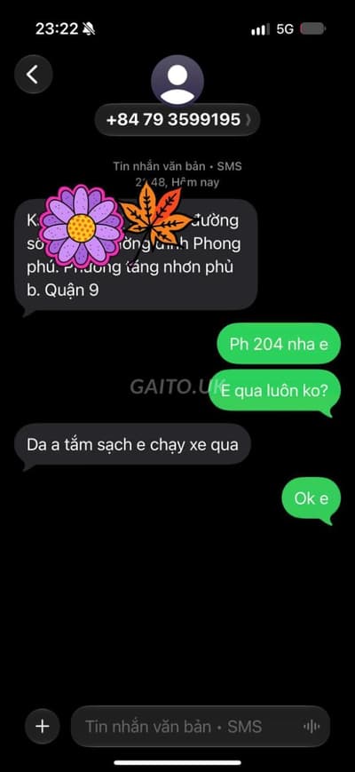 ảnh report