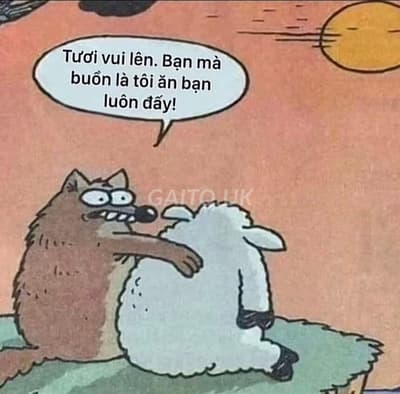 ảnh bình luận