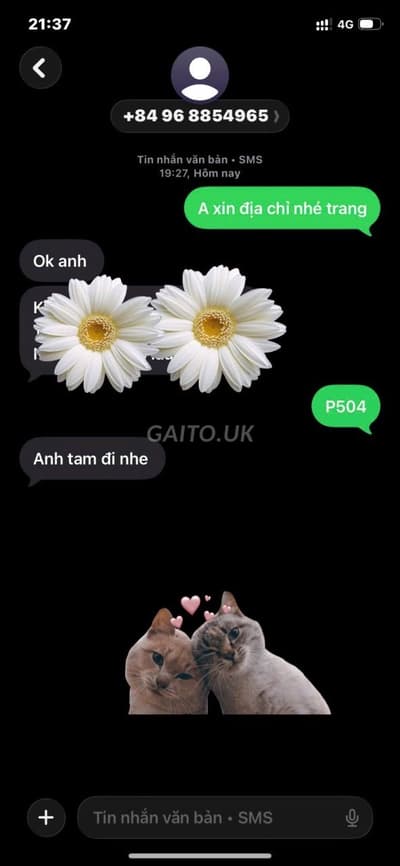 ảnh report
