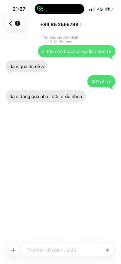 ảnh report