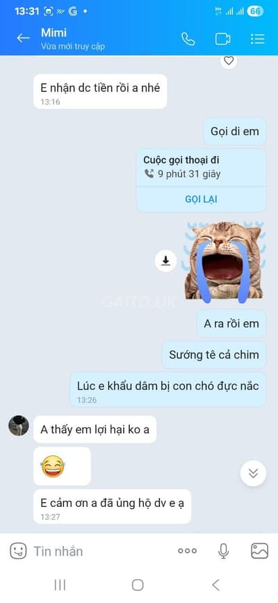 ảnh report
