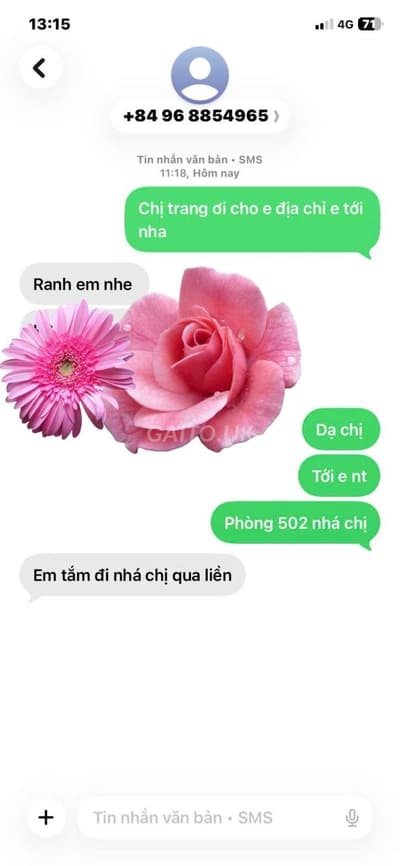 ảnh report