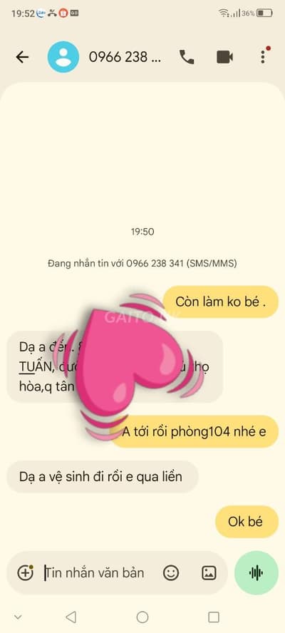 ảnh report