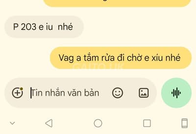 ảnh report