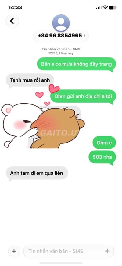 ảnh report