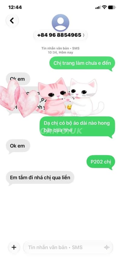 ảnh report