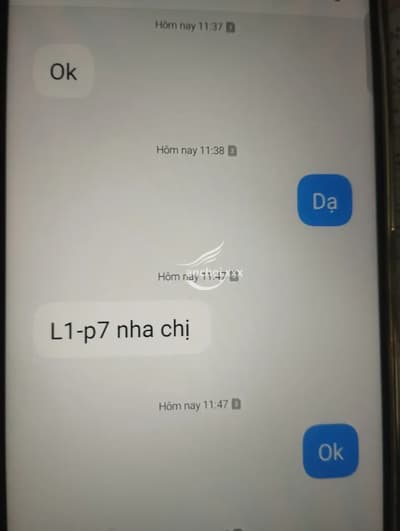 ảnh report