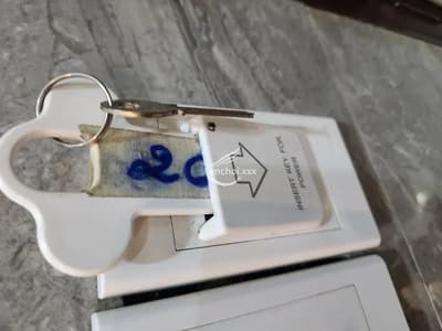ảnh report