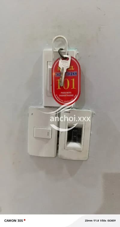 ảnh bình luận