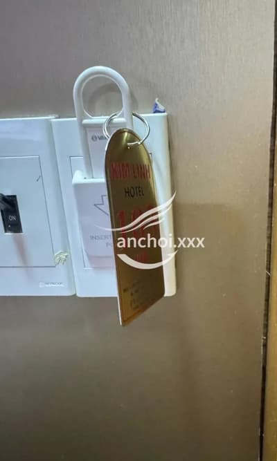 ảnh report