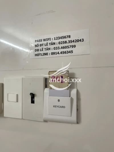ảnh report