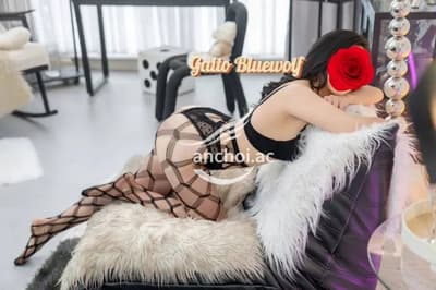 Nàng Kiều_chiếc lưỡi vàng huyền thoại đã trở lại người thật 100% nhà Sói