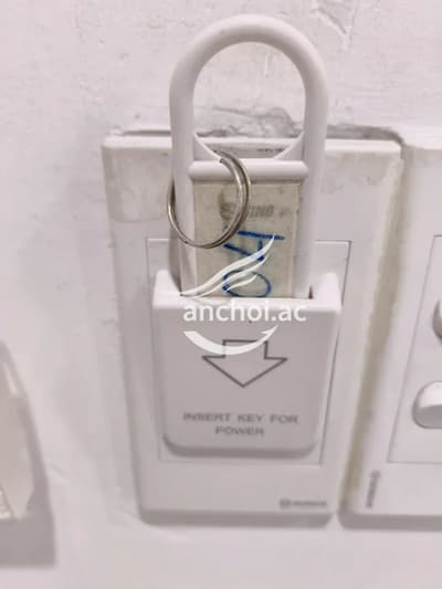 ảnh report