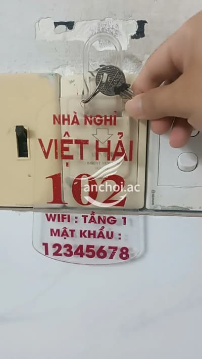ảnh bình luận
