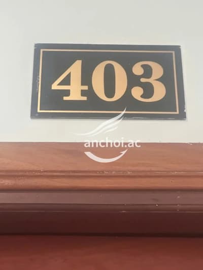 ảnh report
