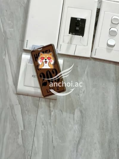 ảnh report