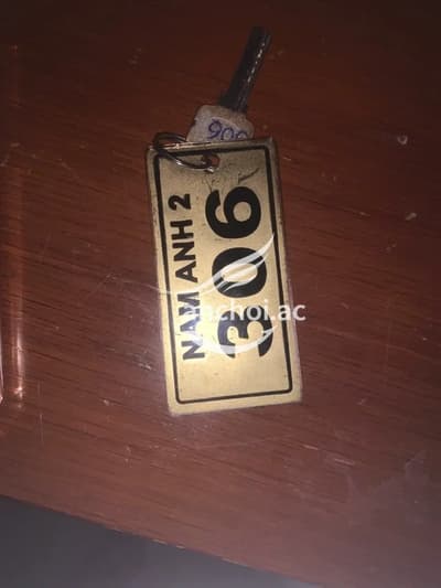 ảnh report