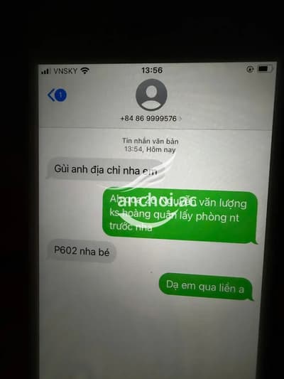 ảnh report