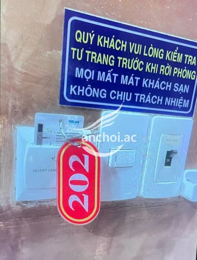 ảnh report