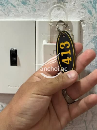 ảnh report