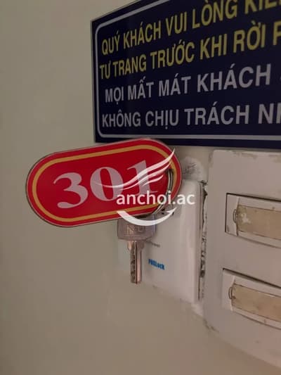 ảnh report