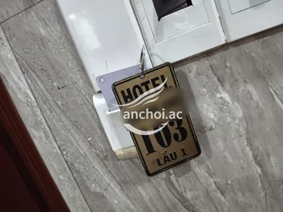 ảnh report