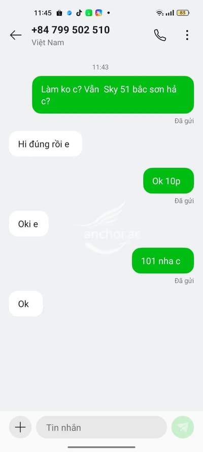 ảnh report