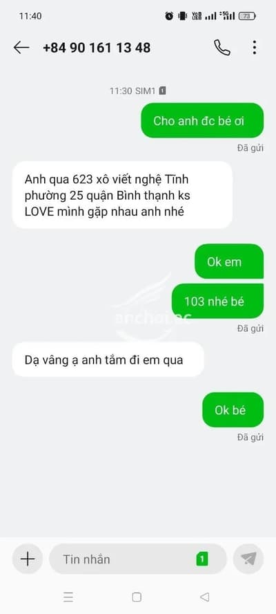 ảnh report