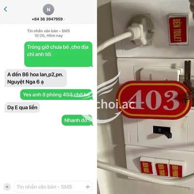 ảnh report