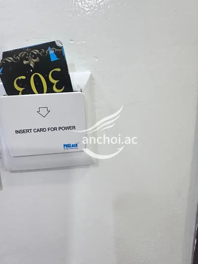 ảnh report