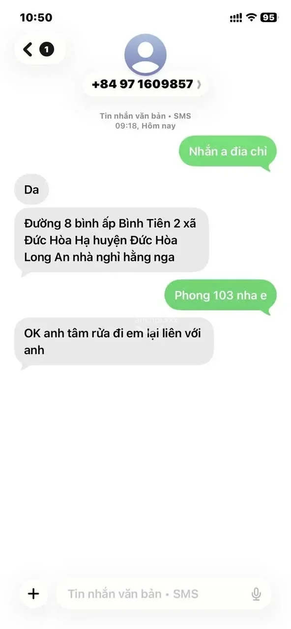 ảnh report