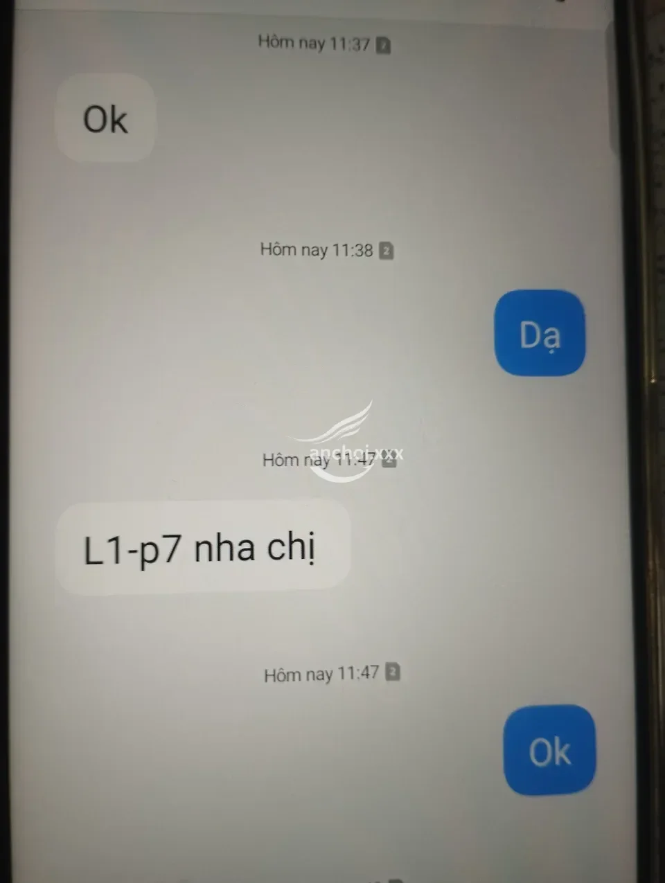 ảnh report