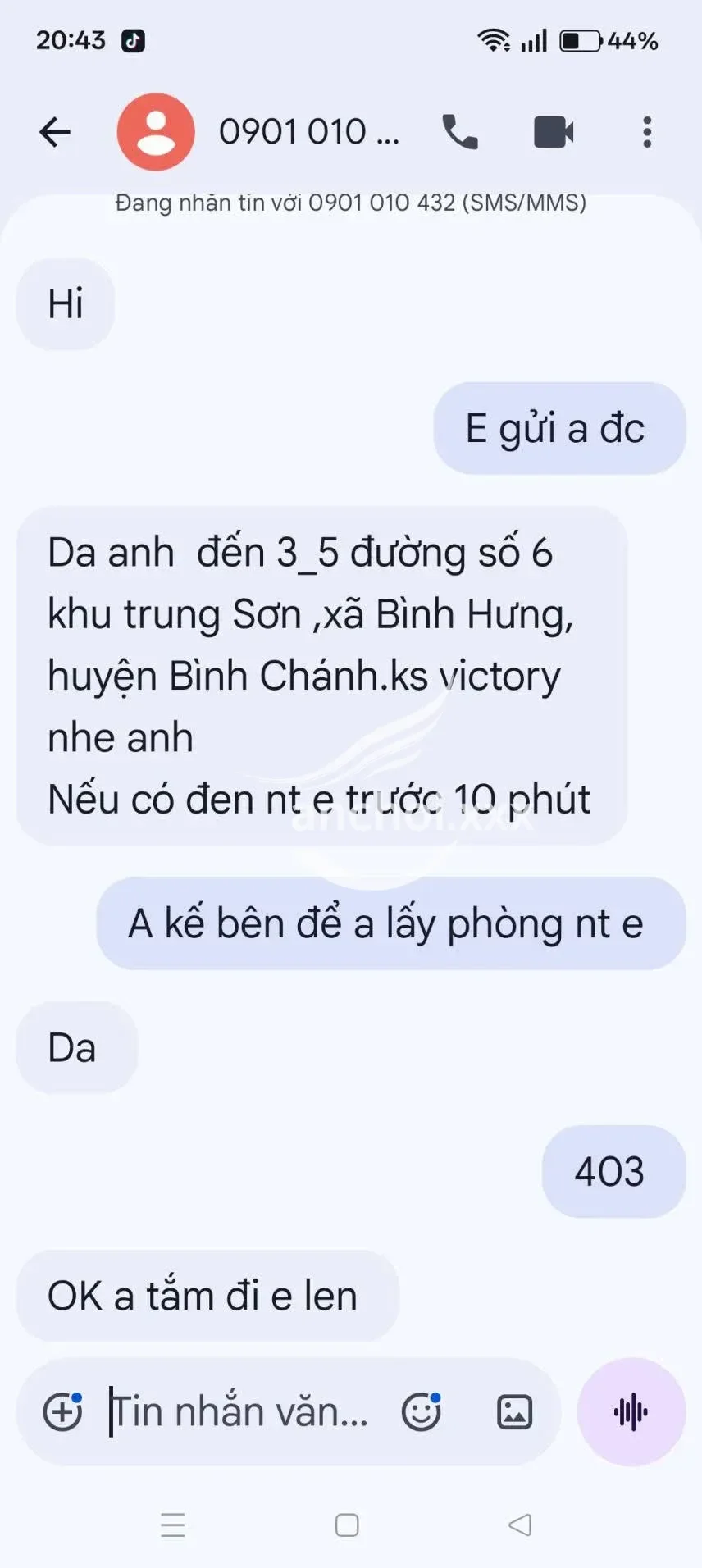 ảnh report