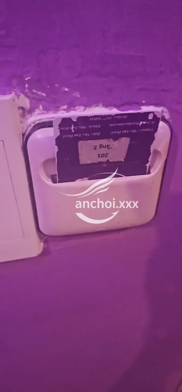ảnh report