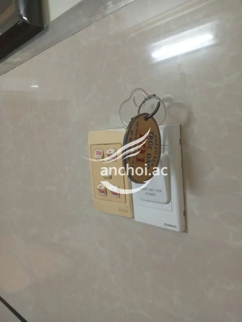 ảnh report